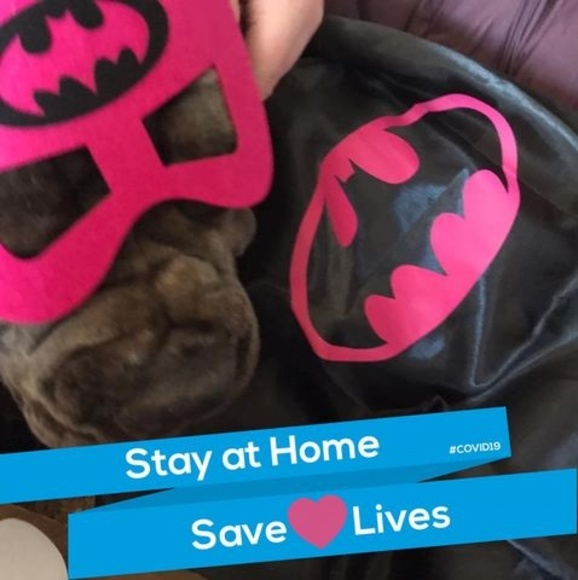 Meet your Posher, Kyle - Picture 1 of 1